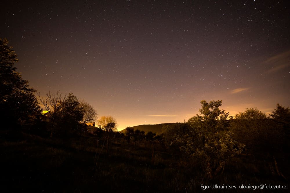 Night sky over a forest