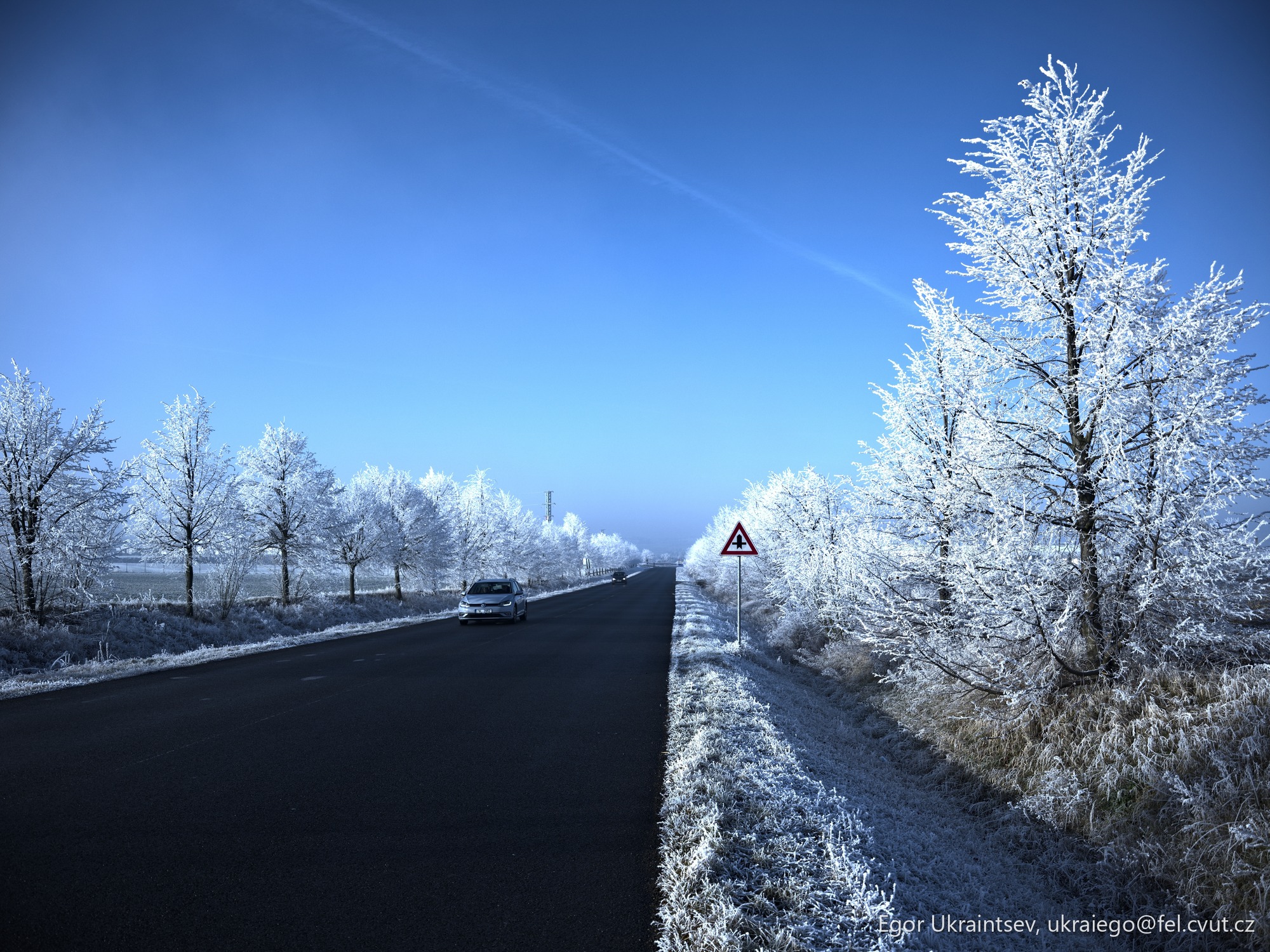 Road with frosty trees