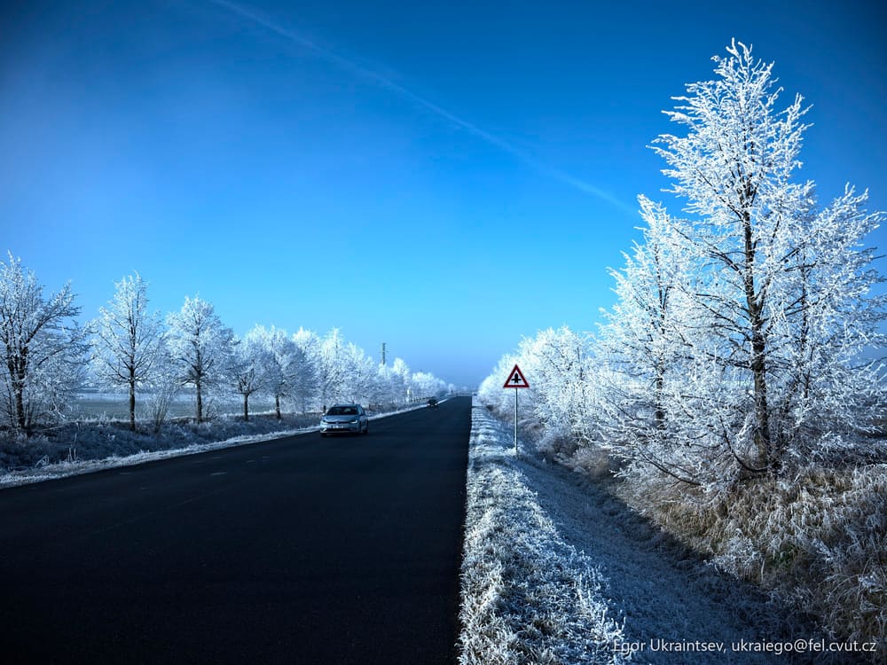 Road with frosty trees