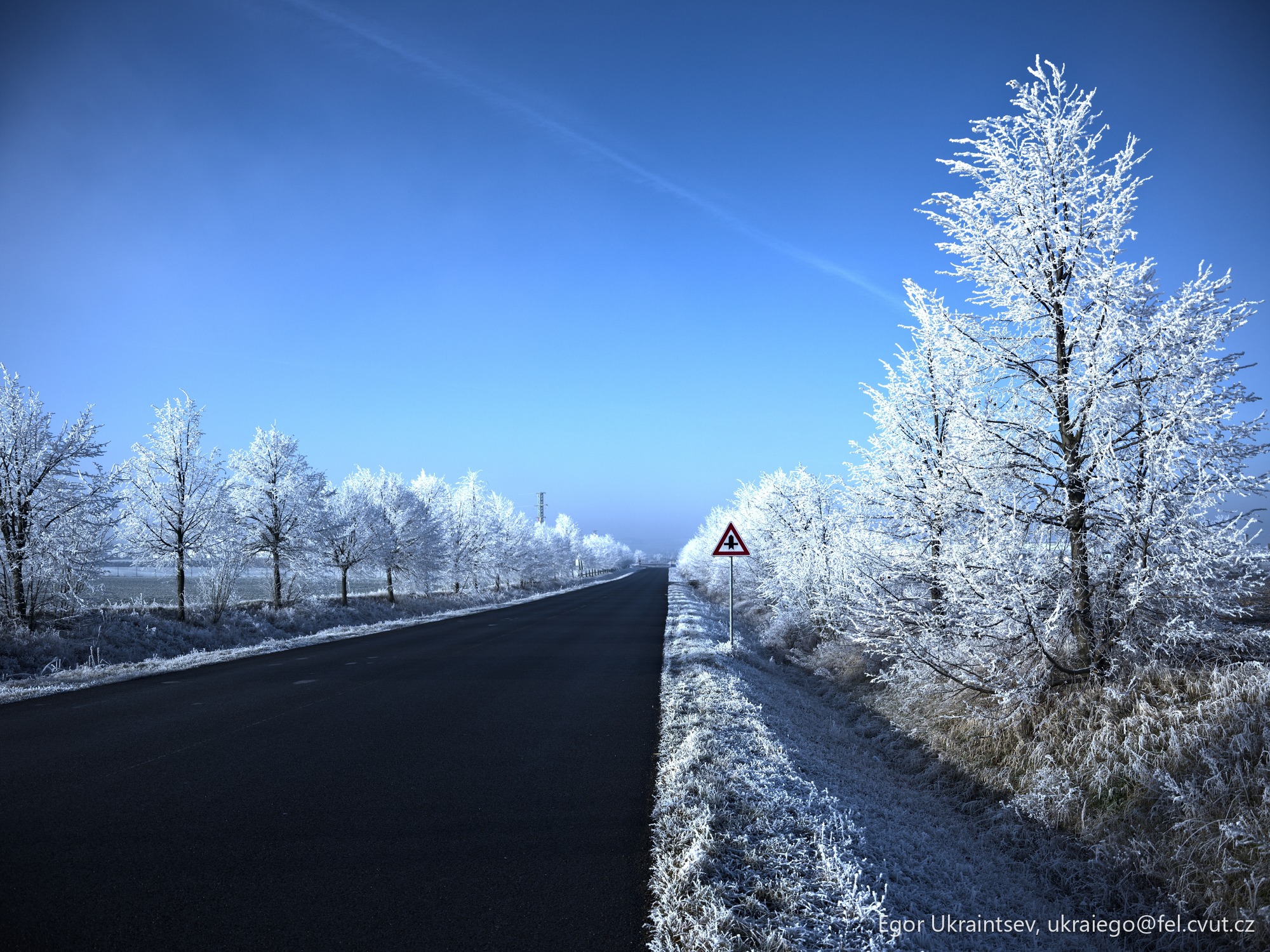 Road with frosty trees