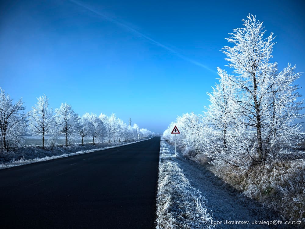 Road with frosty trees