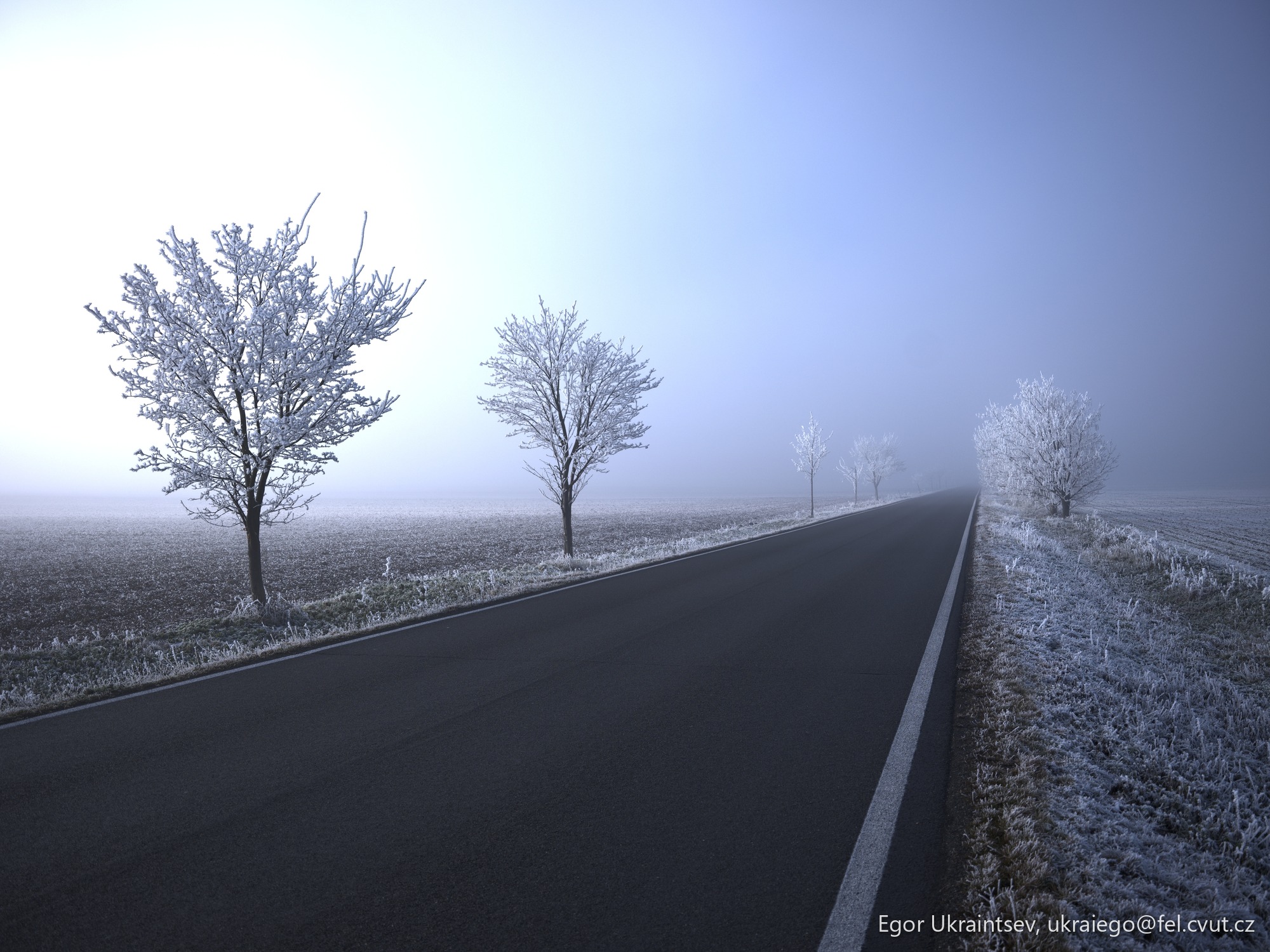 Frosty trees along a road