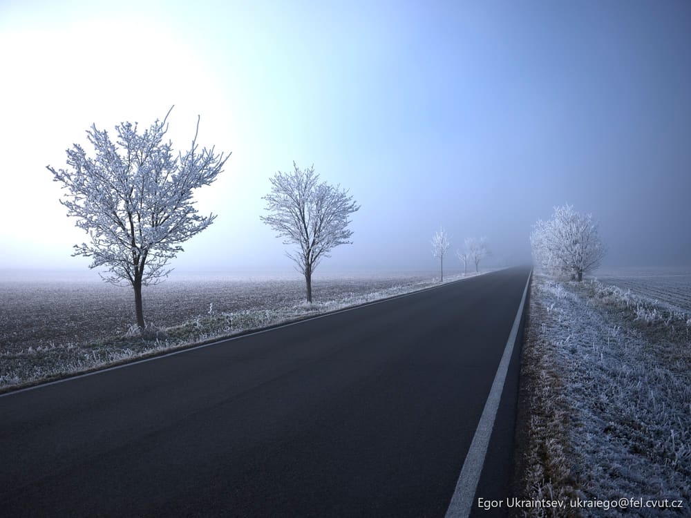 Frosty trees along a road