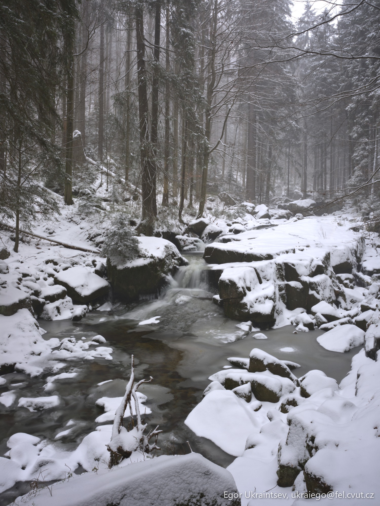 Snowy river in the woods