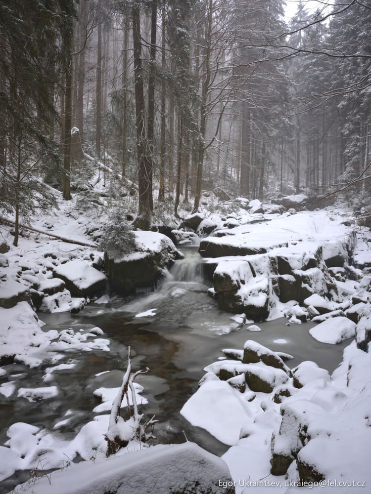 Snowy river in the woods