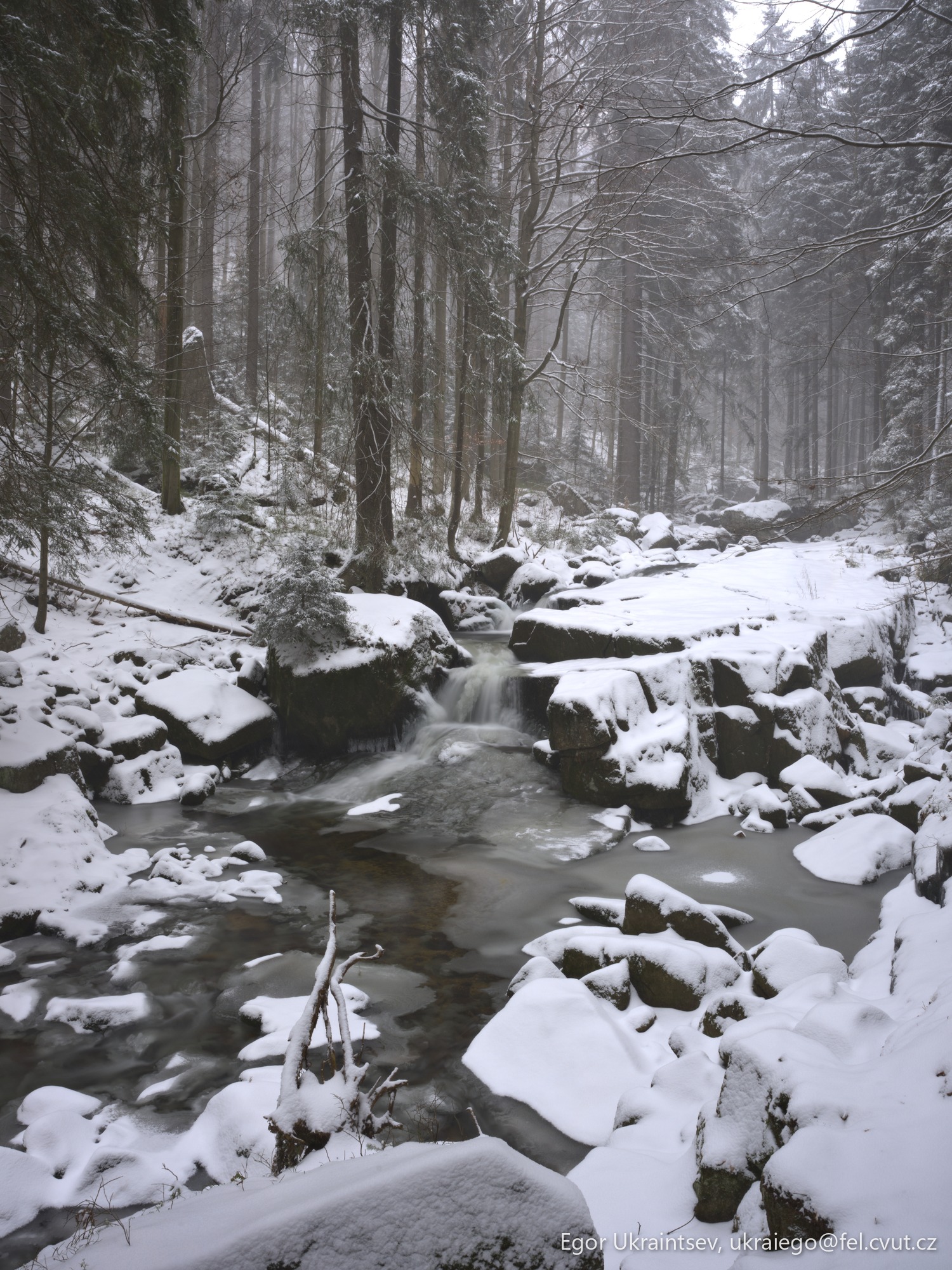 Snowy river in the woods