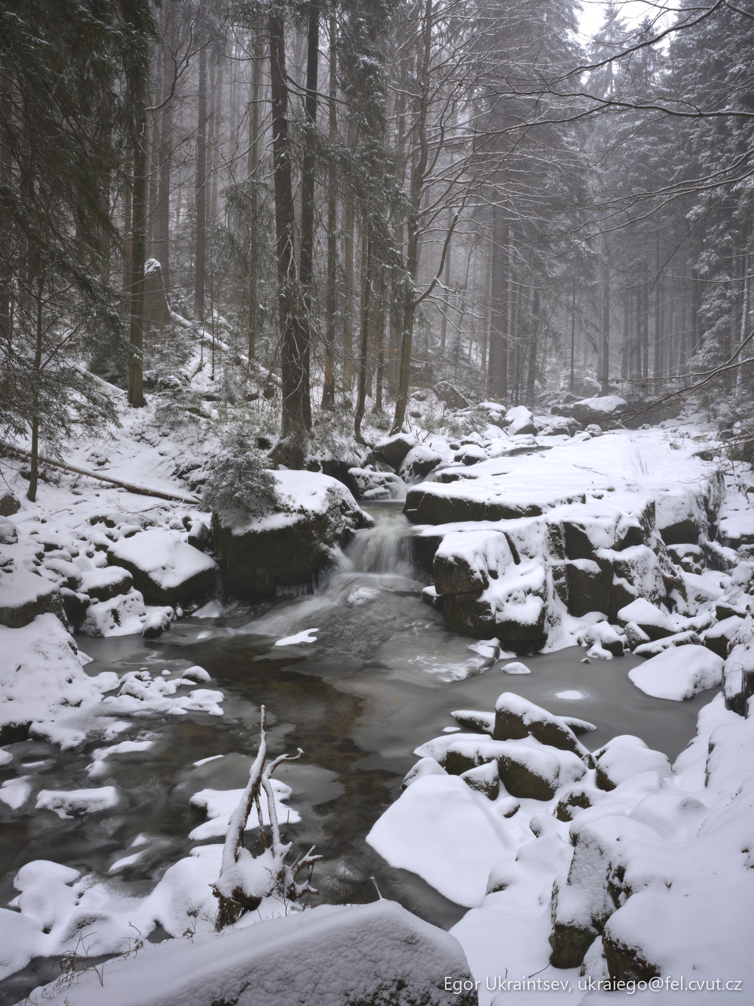 Snowy river in the woods