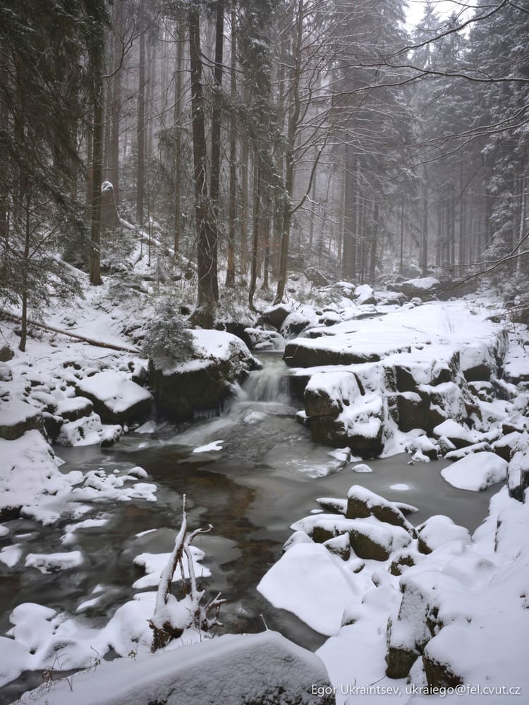 Snowy river in the woods
