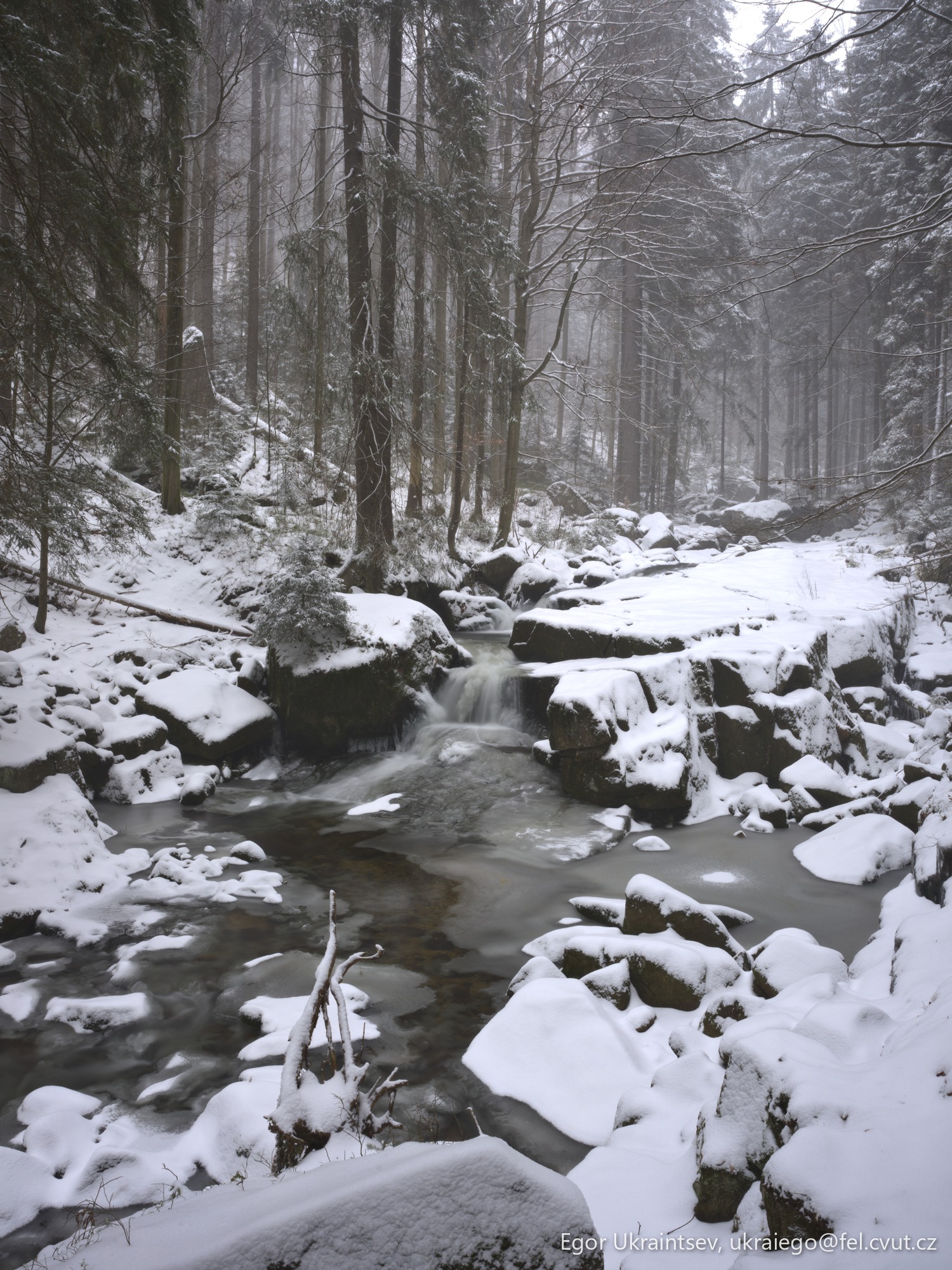 Snowy river in the woods