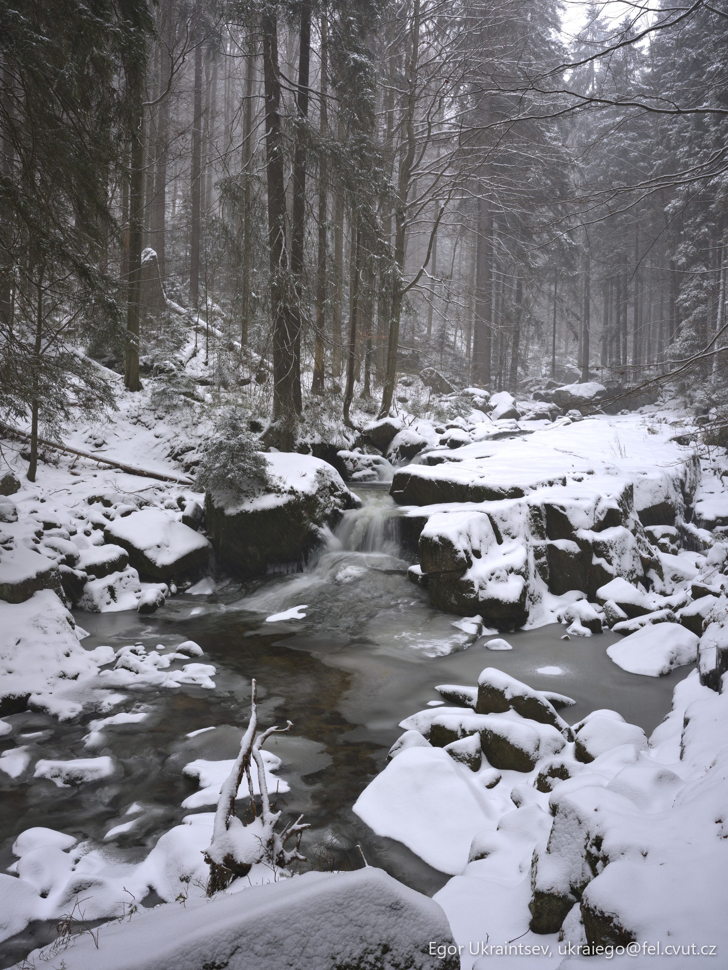 Snowy river in the woods
