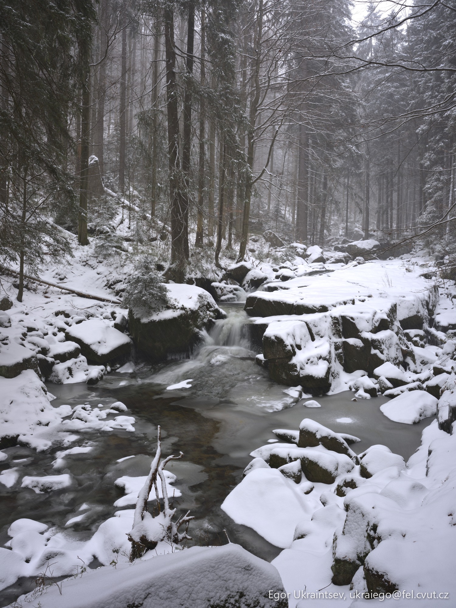 Snowy river in the woods