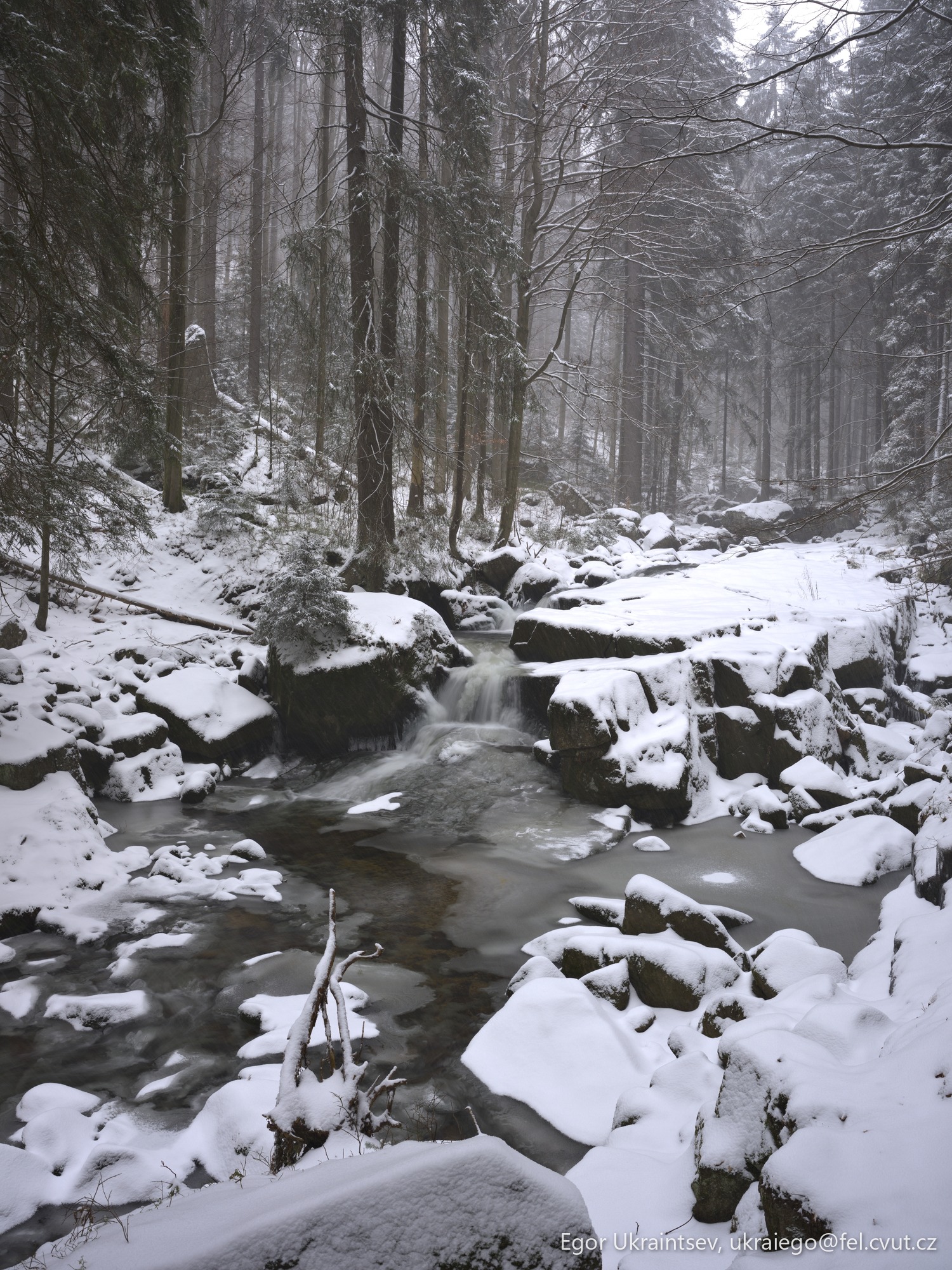 Snowy river in the woods