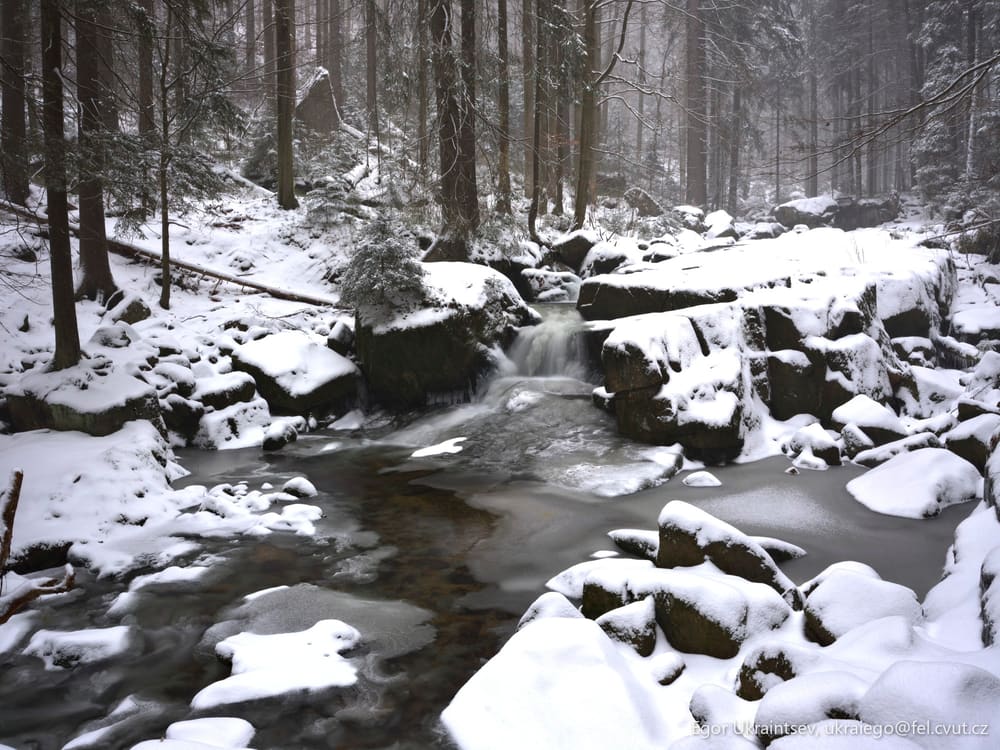 Snowy stream in the woods