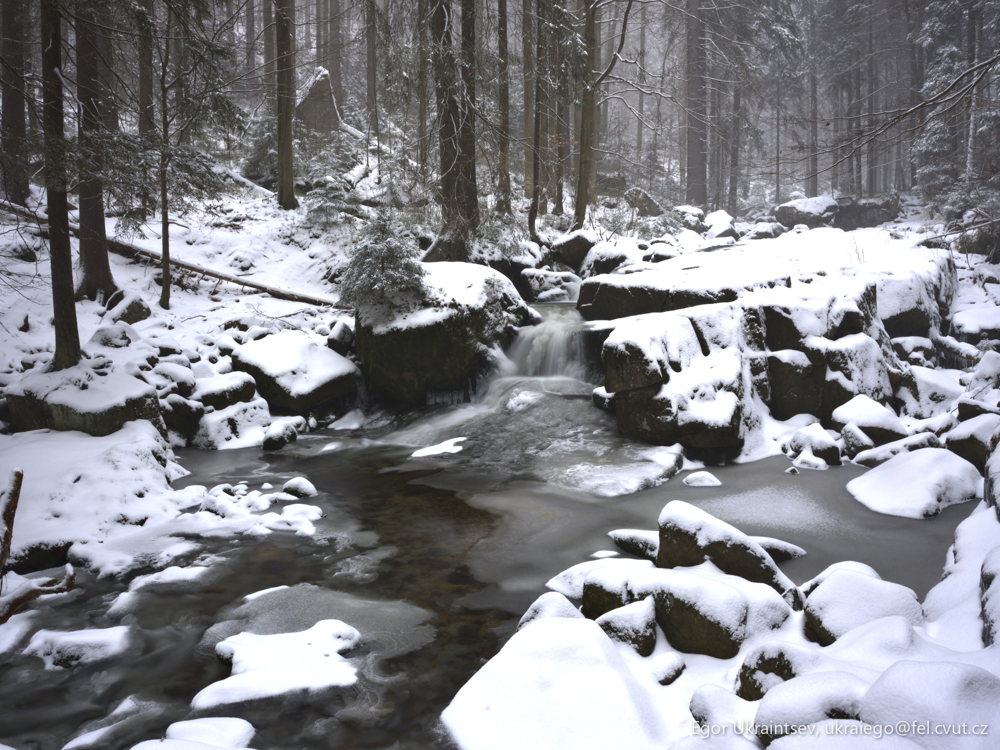 Snowy stream in the woods