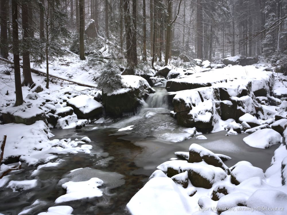 Snowy stream in the woods