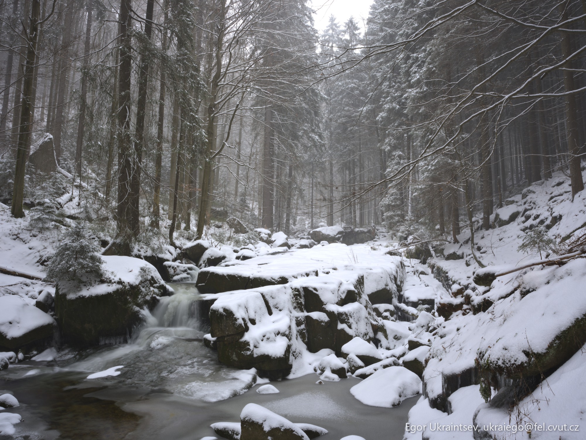 Stream in a snowy forest