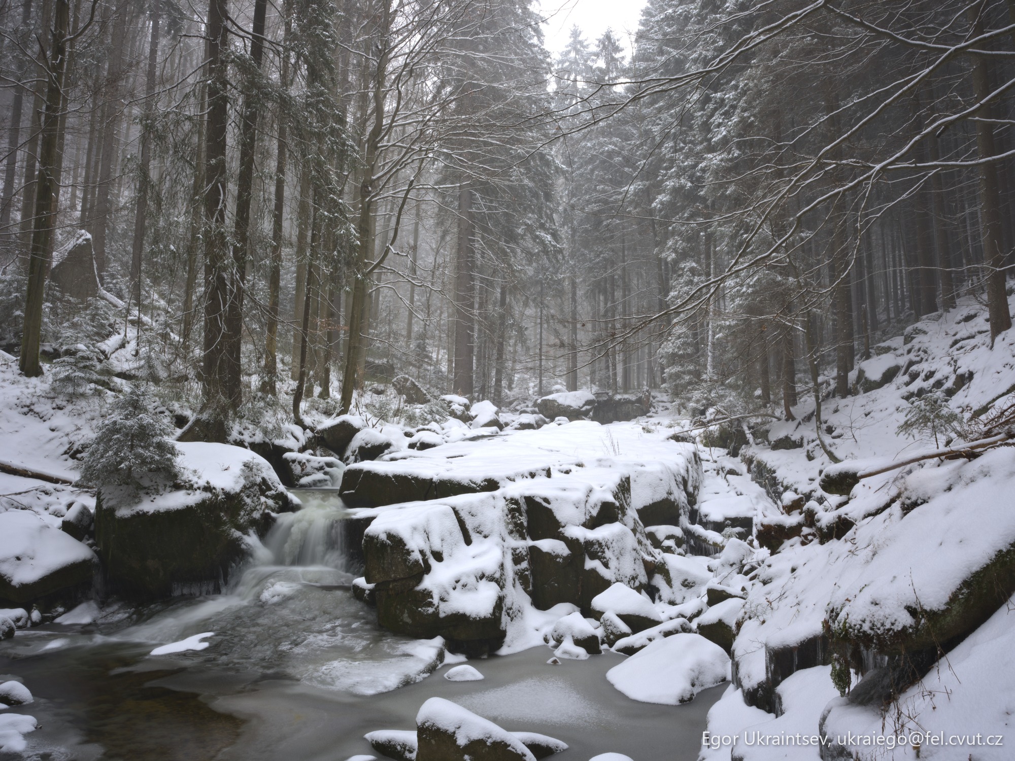 Stream in a snowy forest
