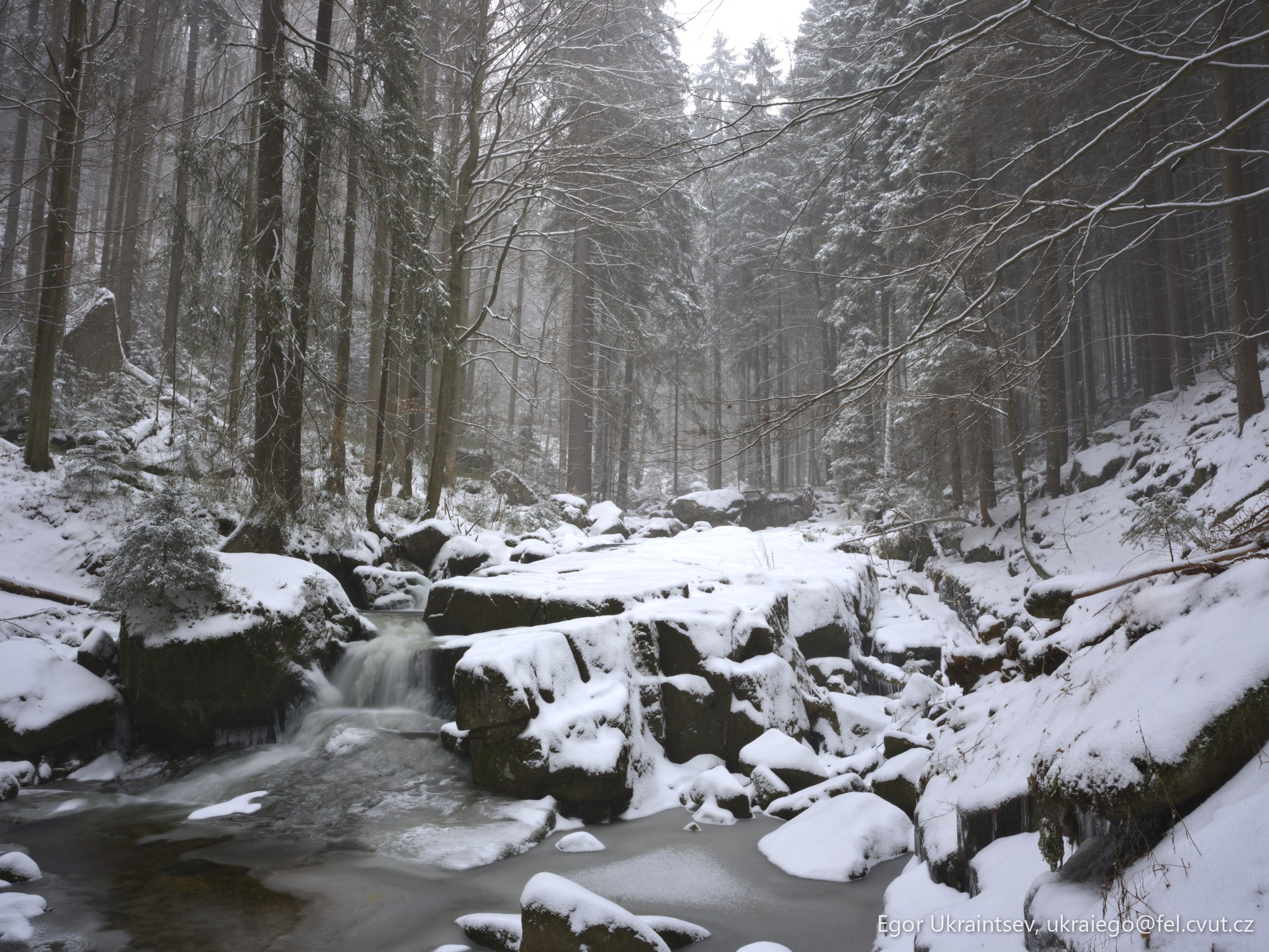 Stream in a snowy forest