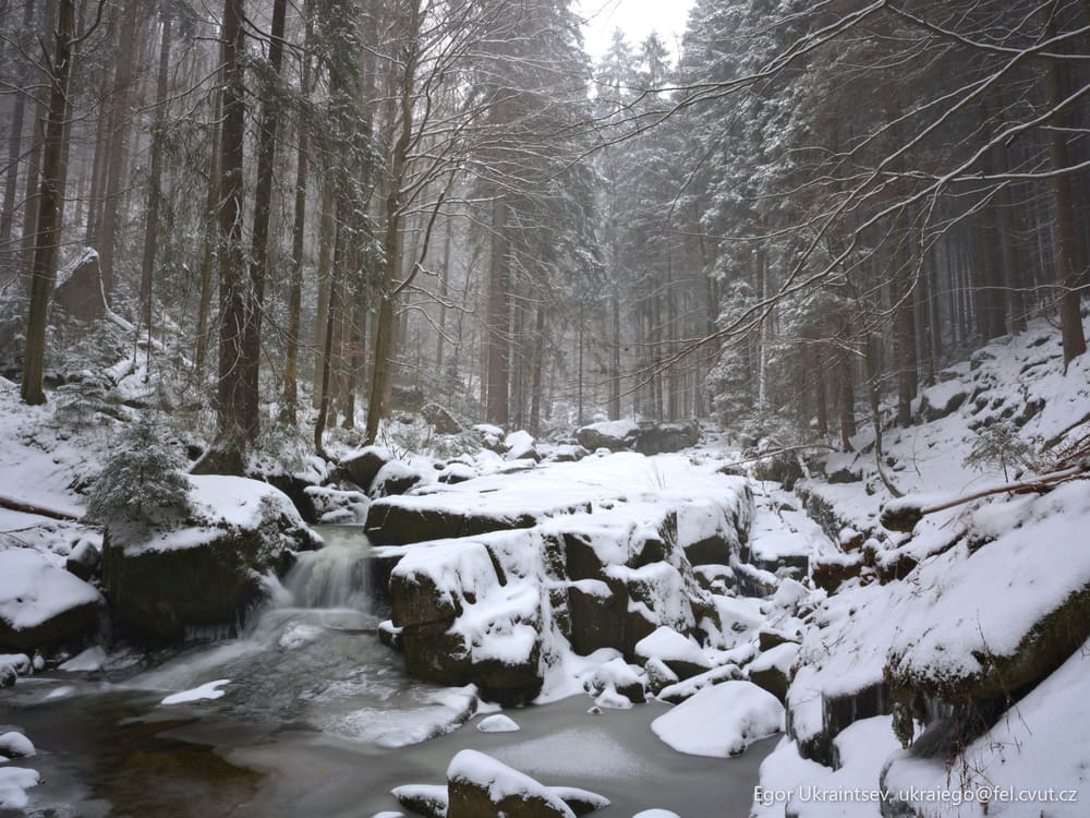 Stream in a snowy forest