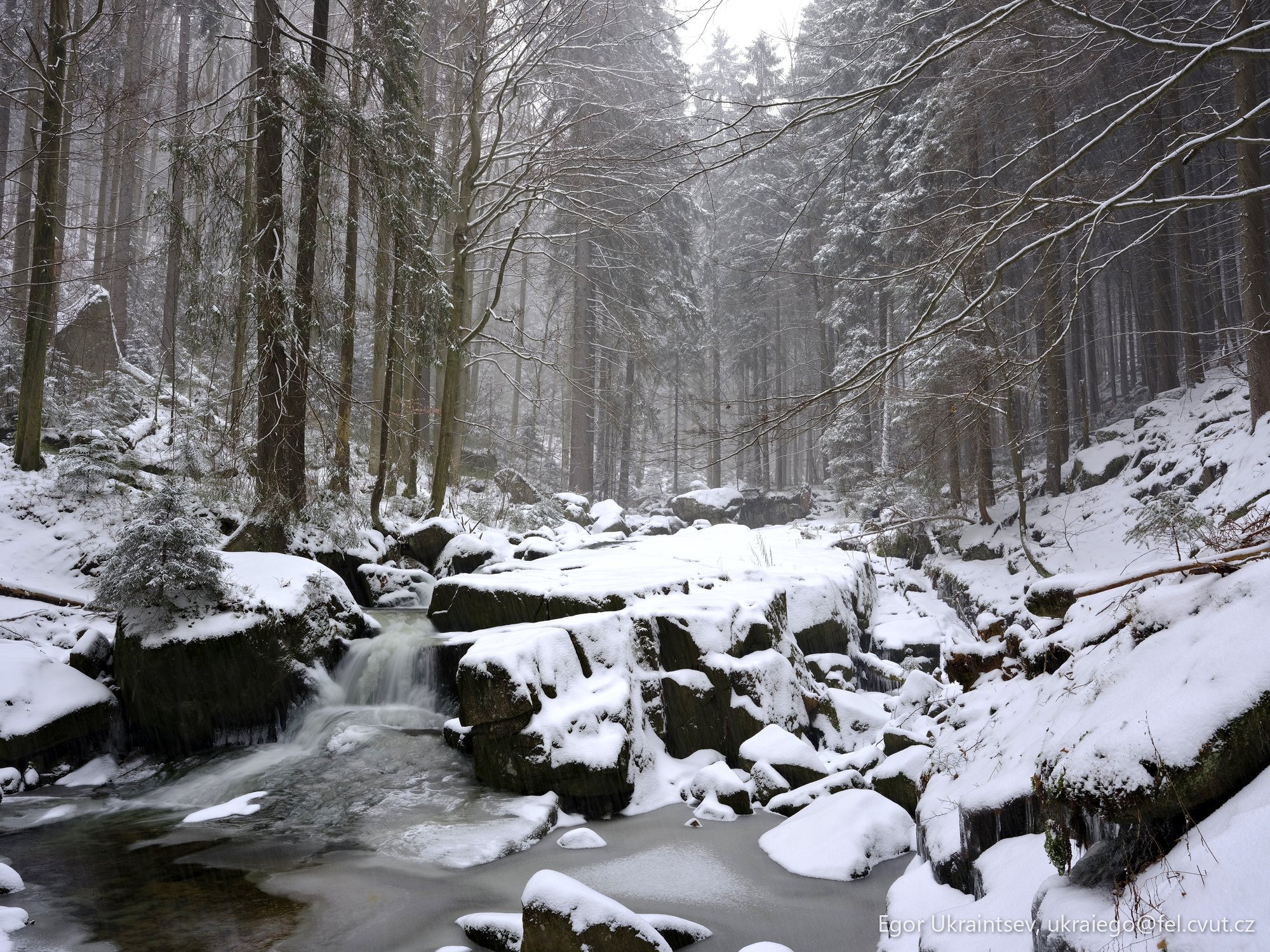 Snowy river in the forest