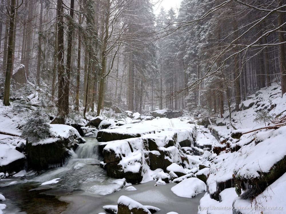 Snowy river in the forest