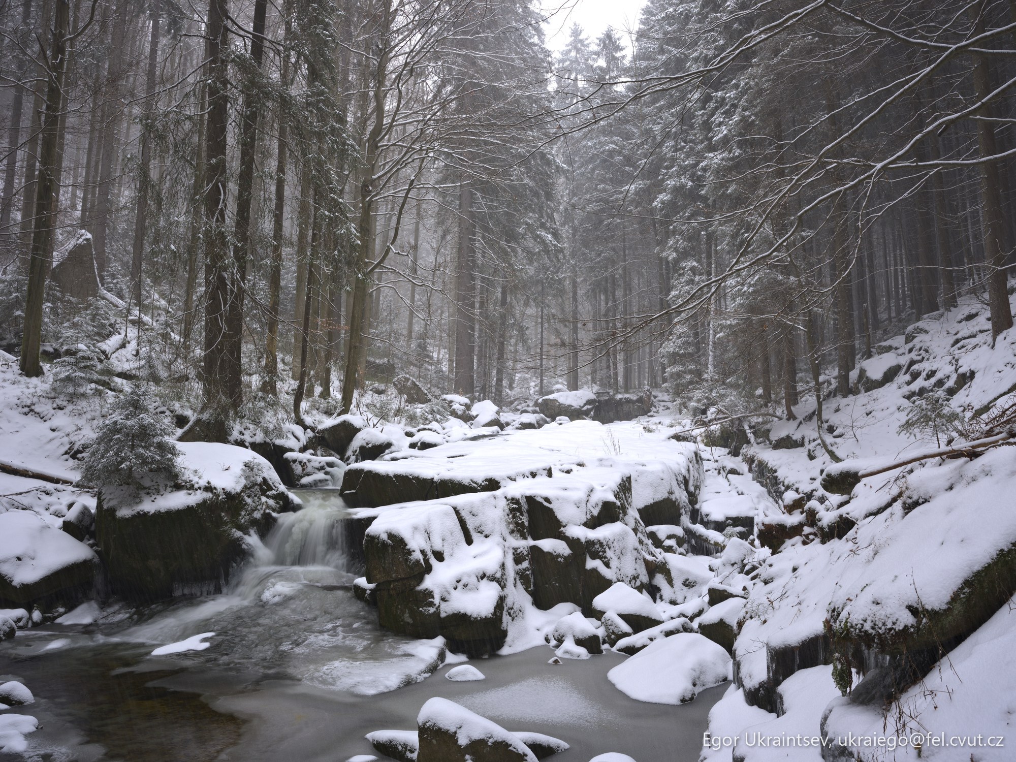 Snowy river in the woods