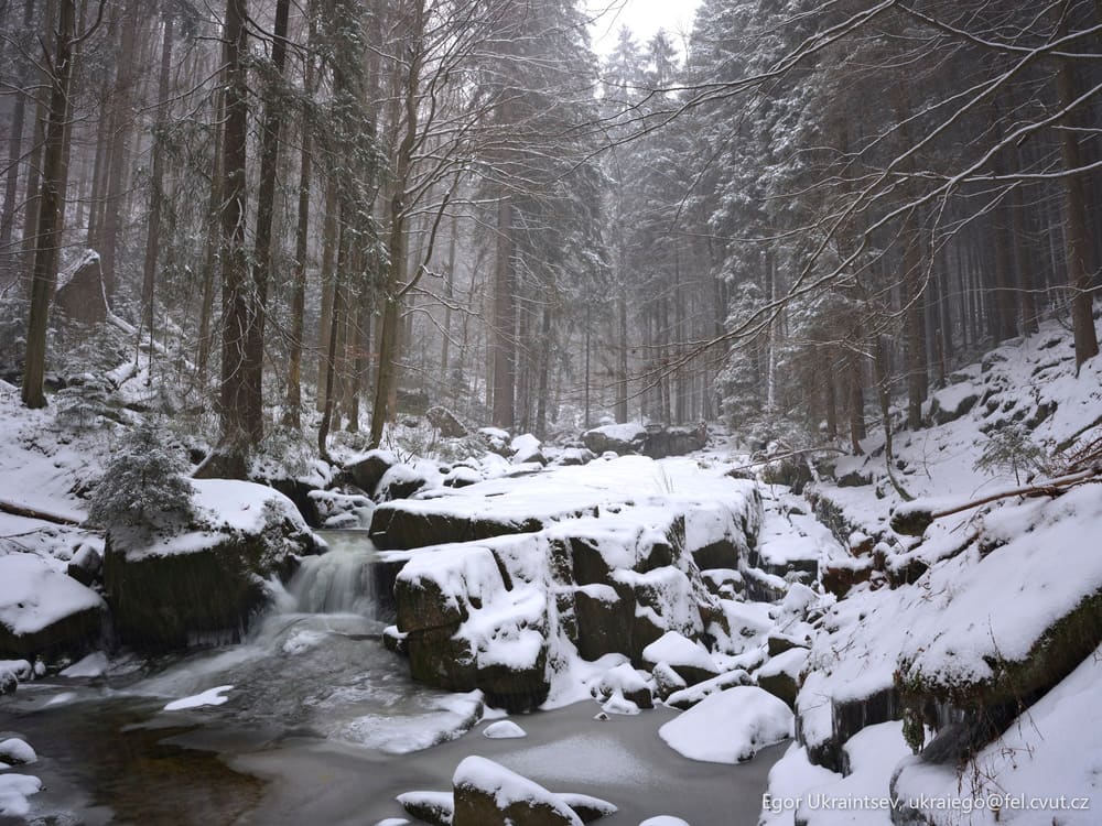 Snowy river in the woods