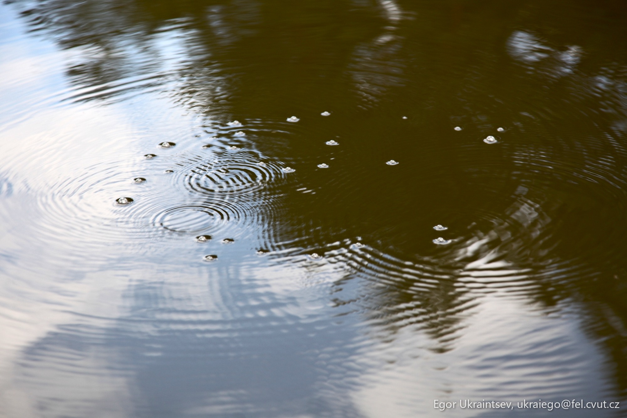 Raindrops floating in a pond