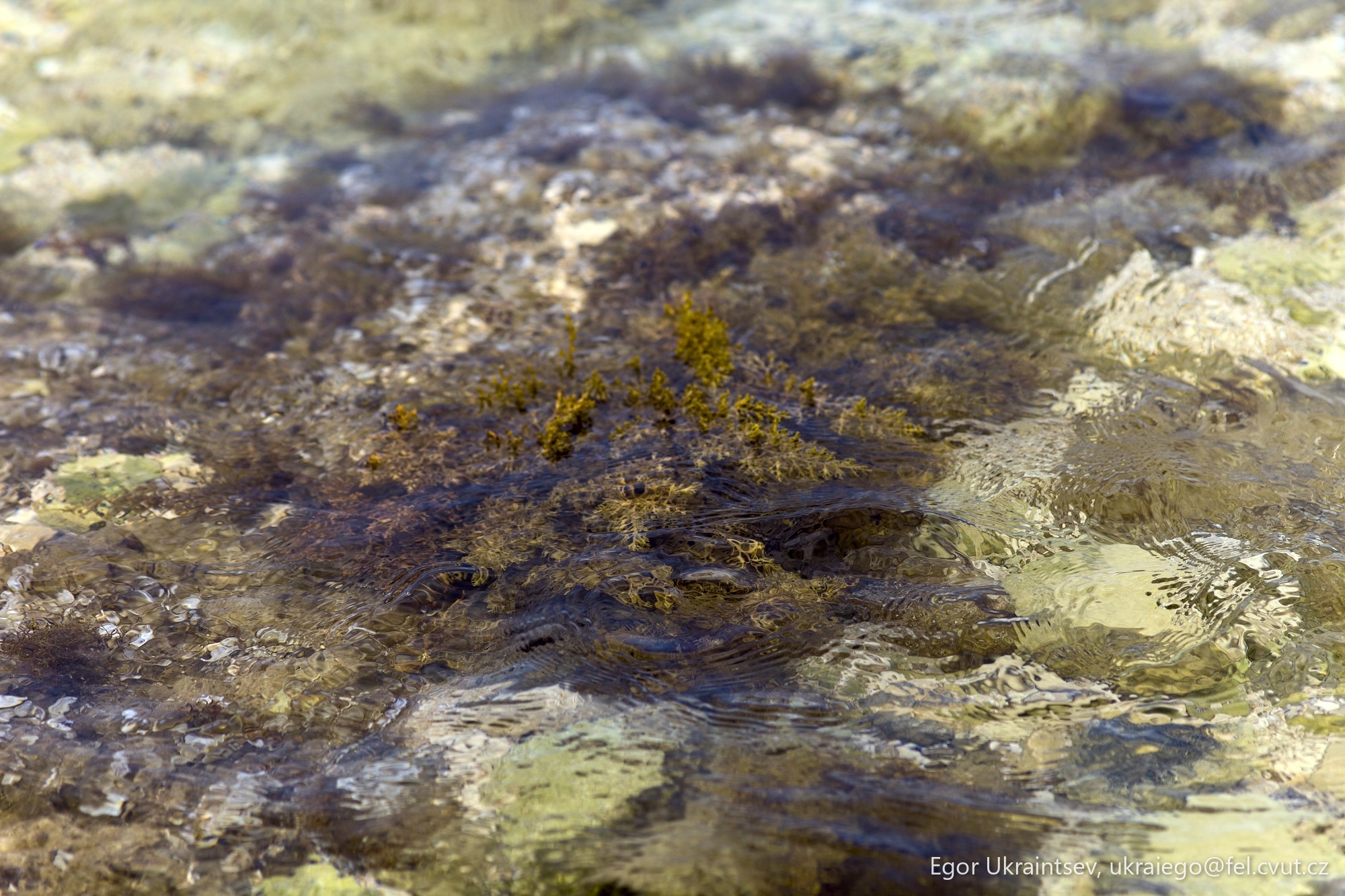 Water and rocks