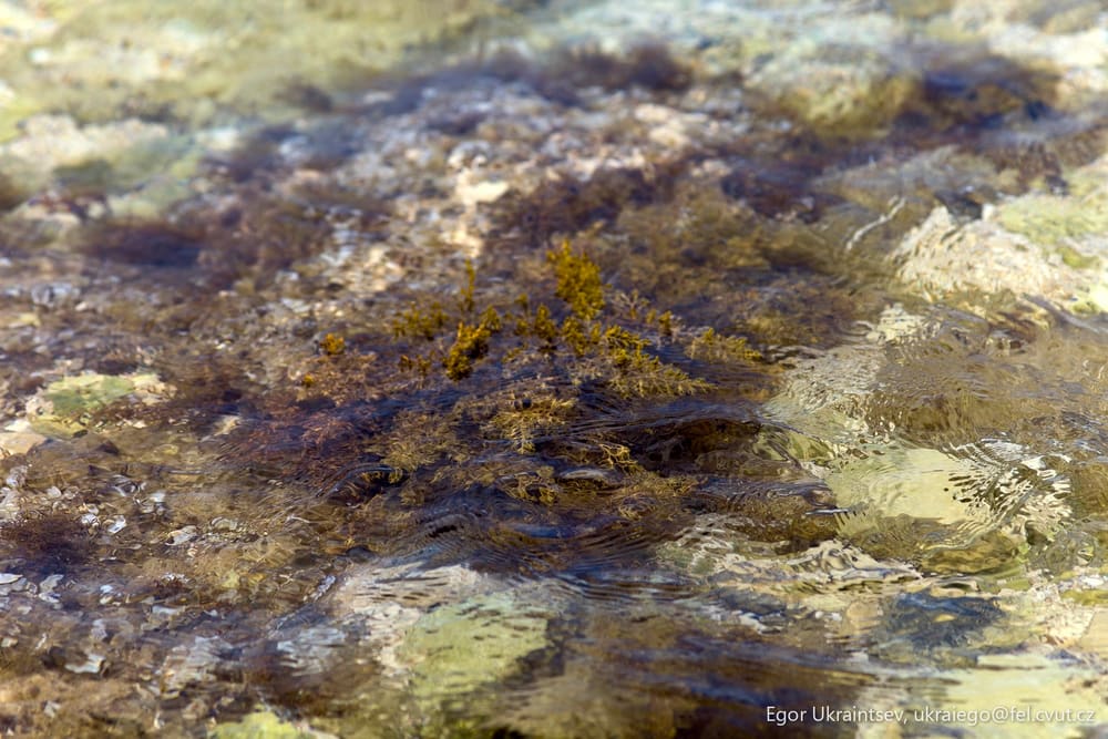 Water and rocks