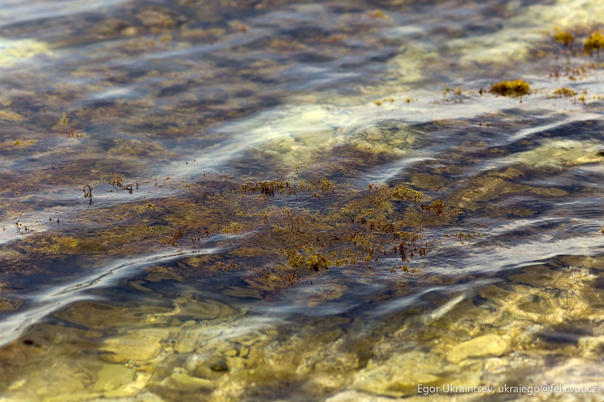 Water and rocks