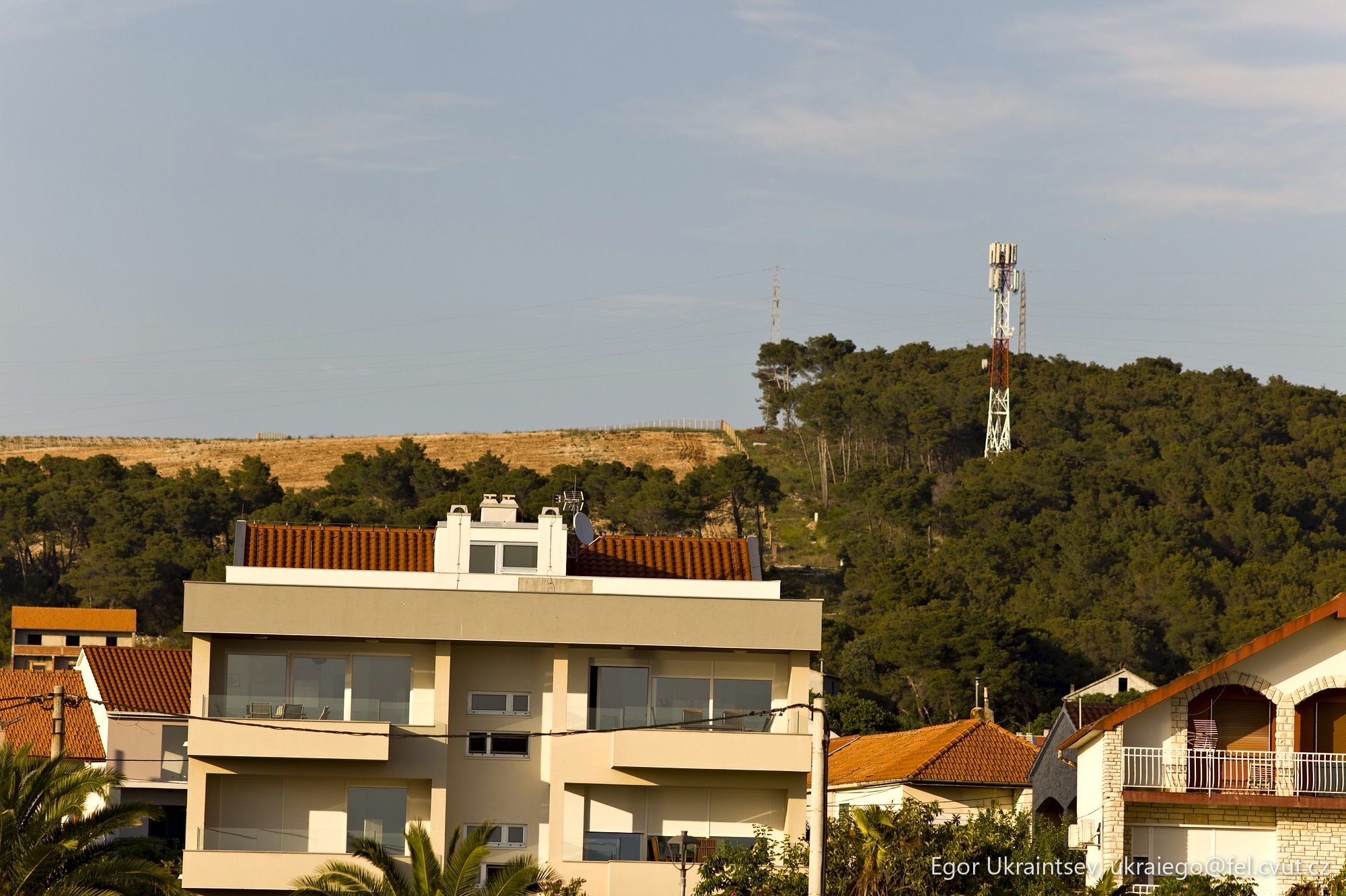 Houses in a residential area