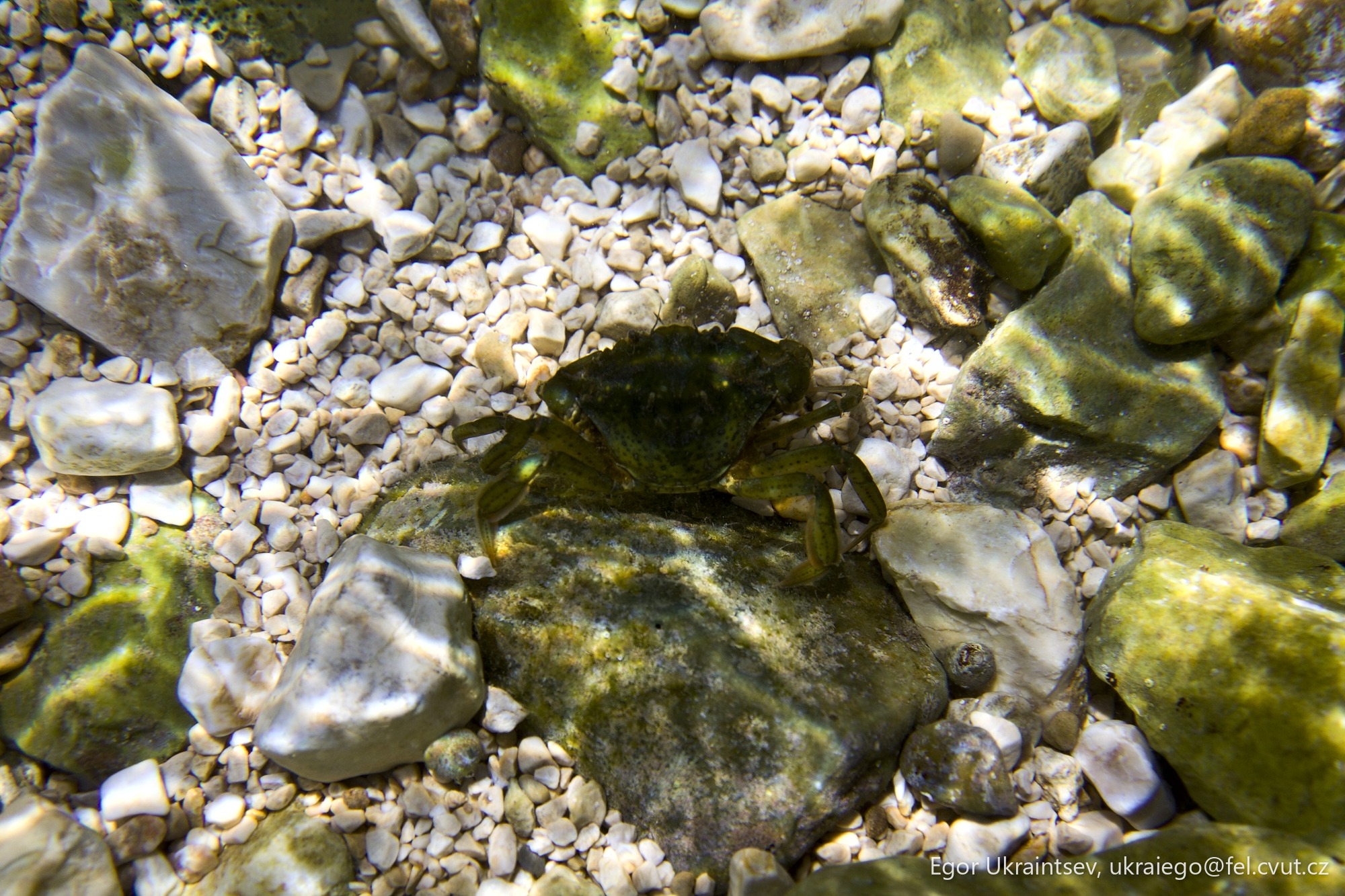 Rocks and gravel