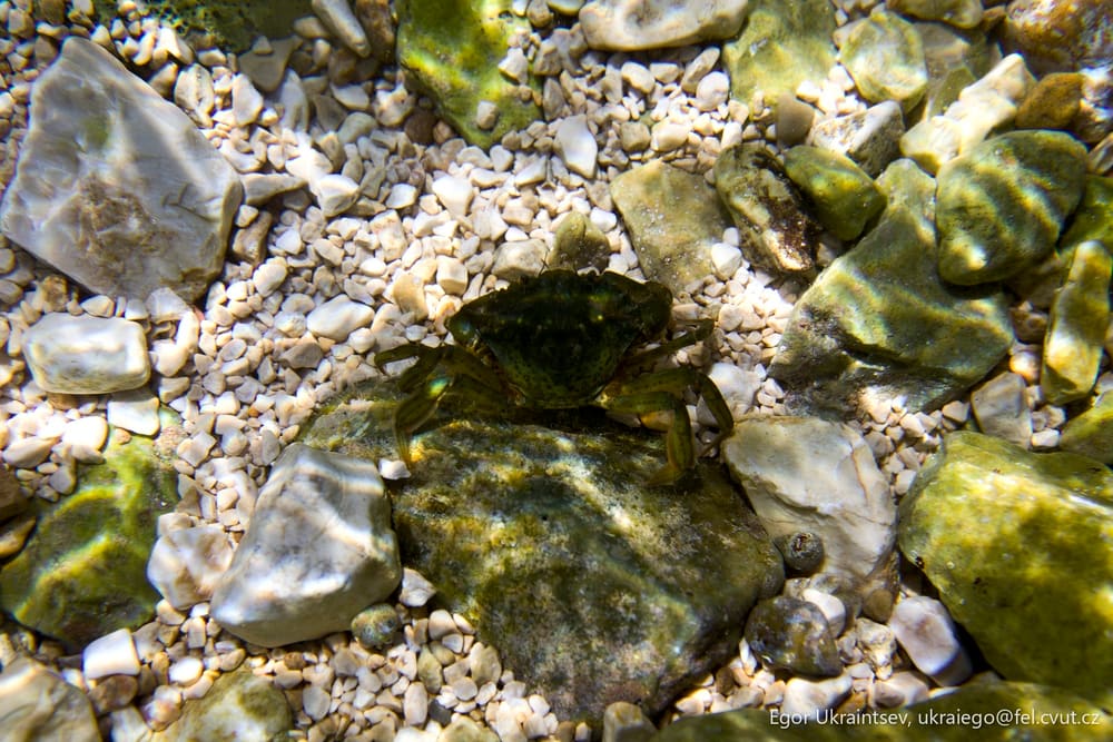 Rocks and gravel