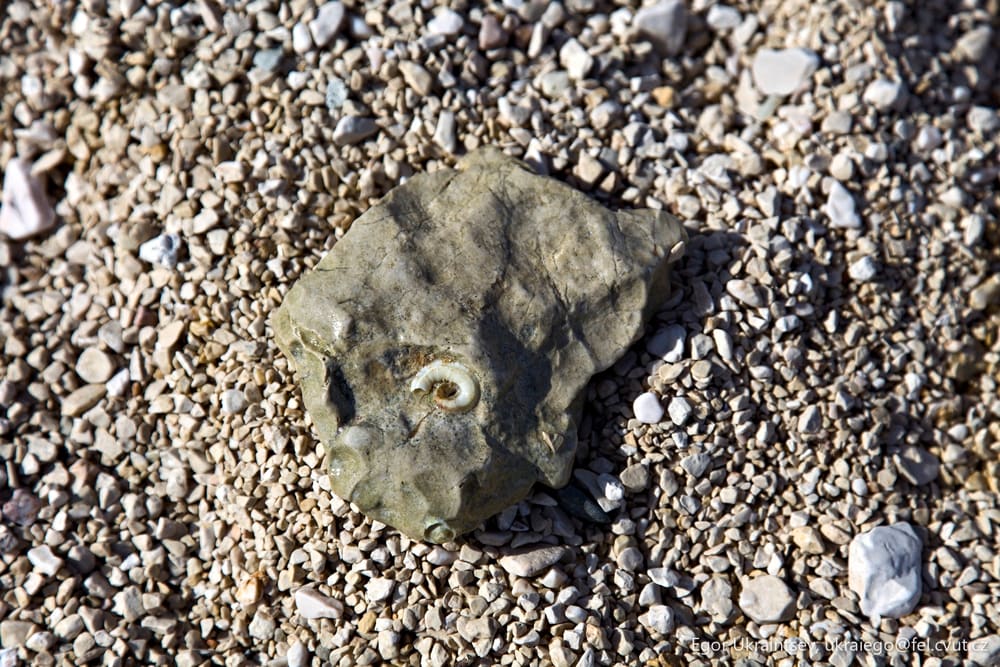 Rock on the ground