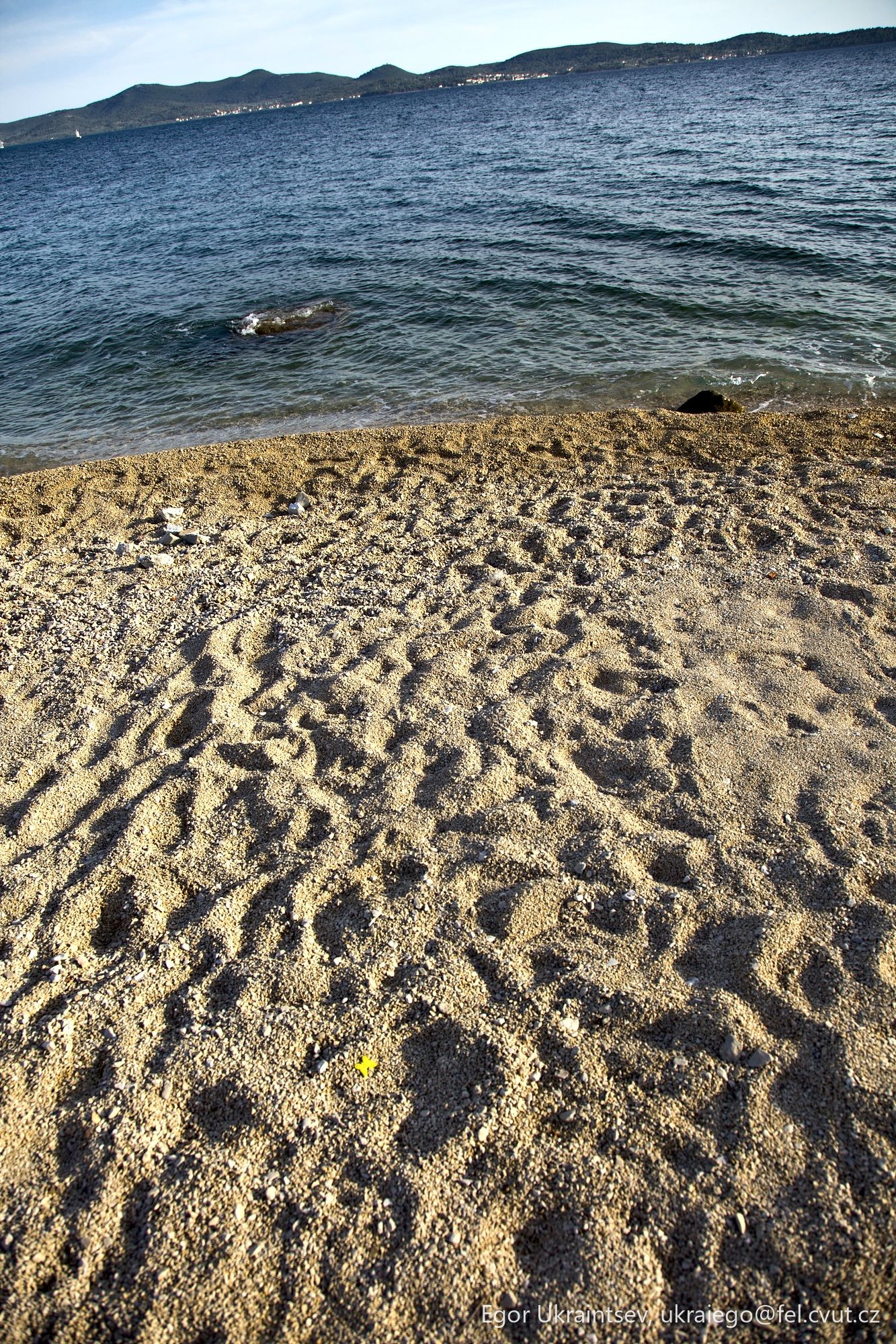 Beach with the ocean