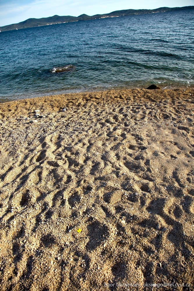 Beach with the ocean