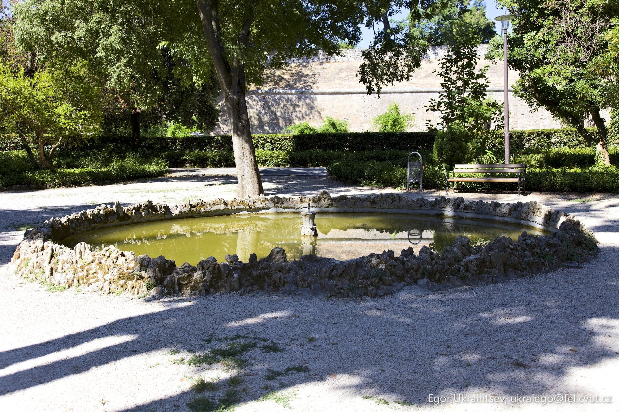 Small pond in a park