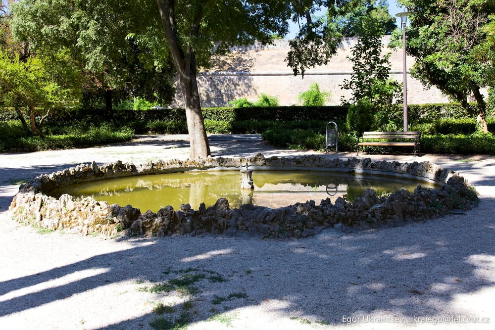 Small pond in a park