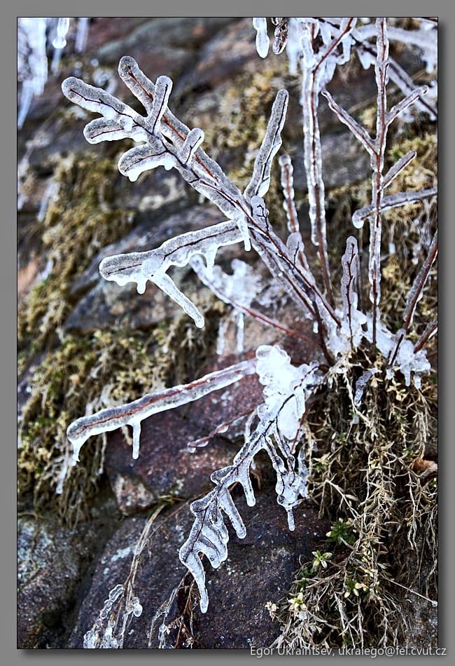 Ice crystals on a rock