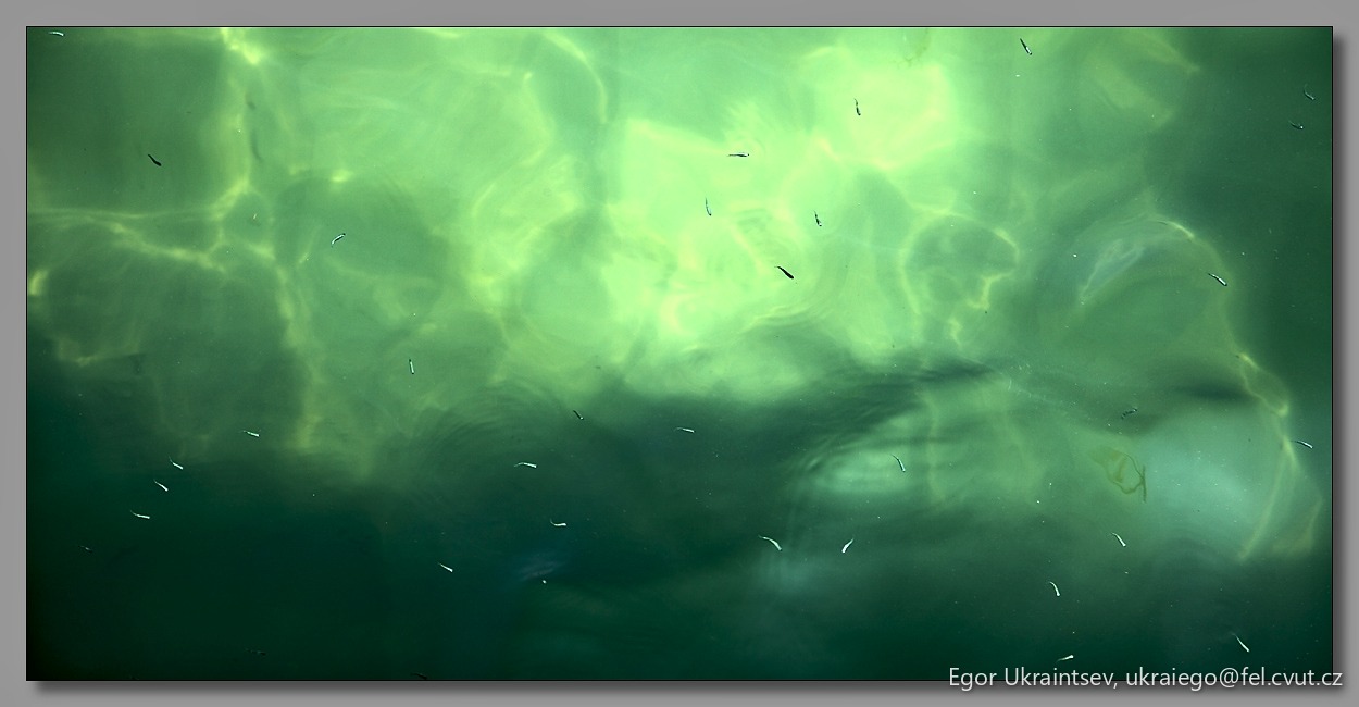 Water and algae