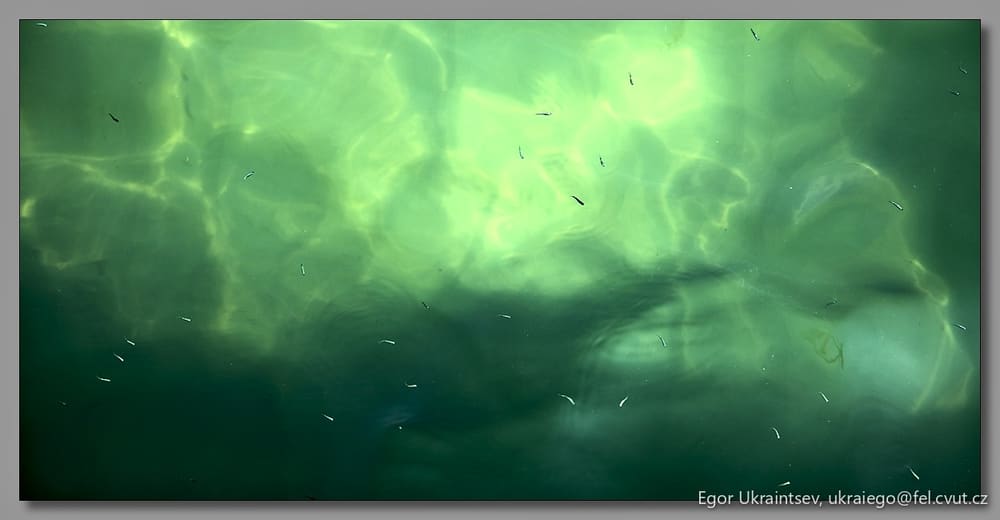 Water and algae