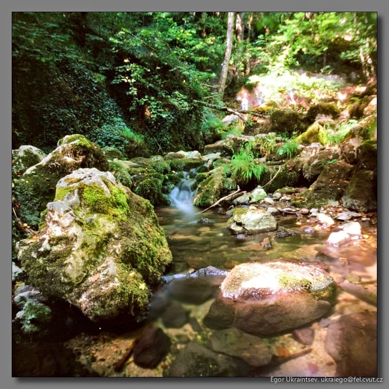 Stream in the forest