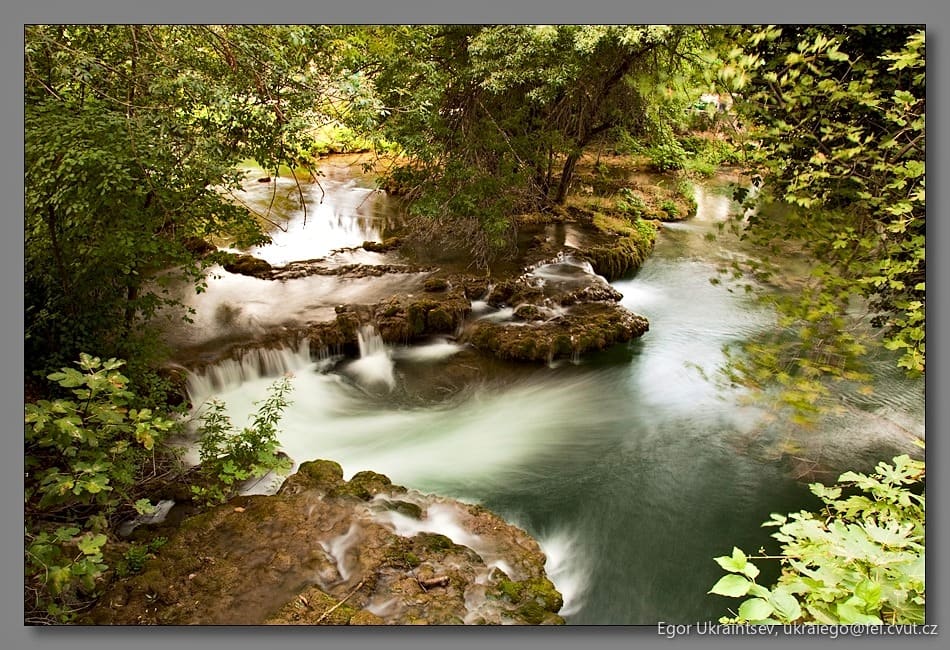 River in the forest