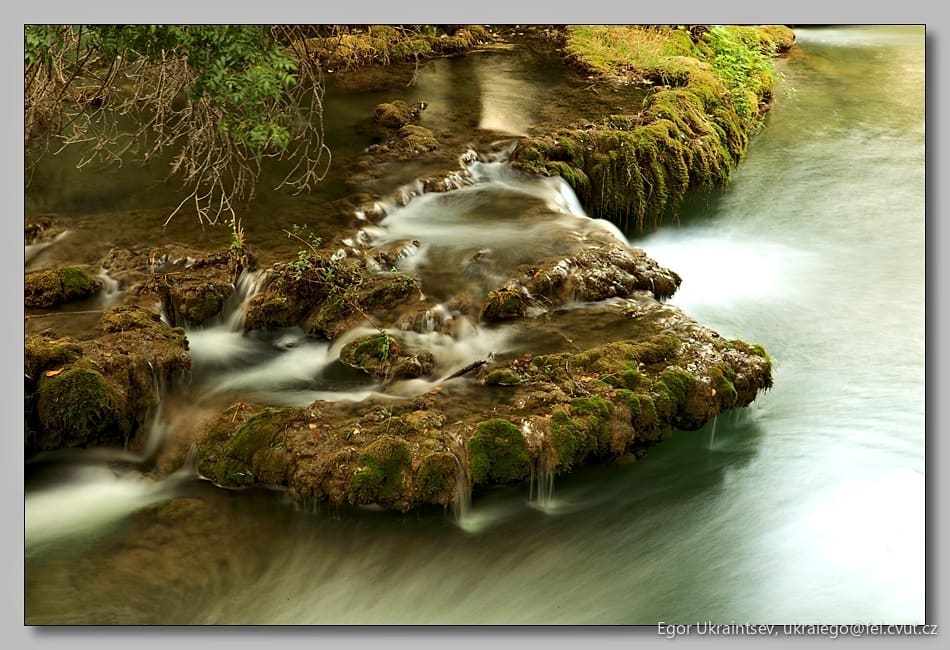 Stream in the woods