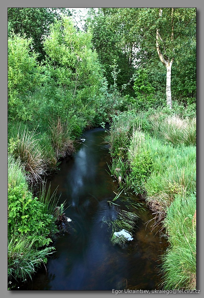 Stream in the woods