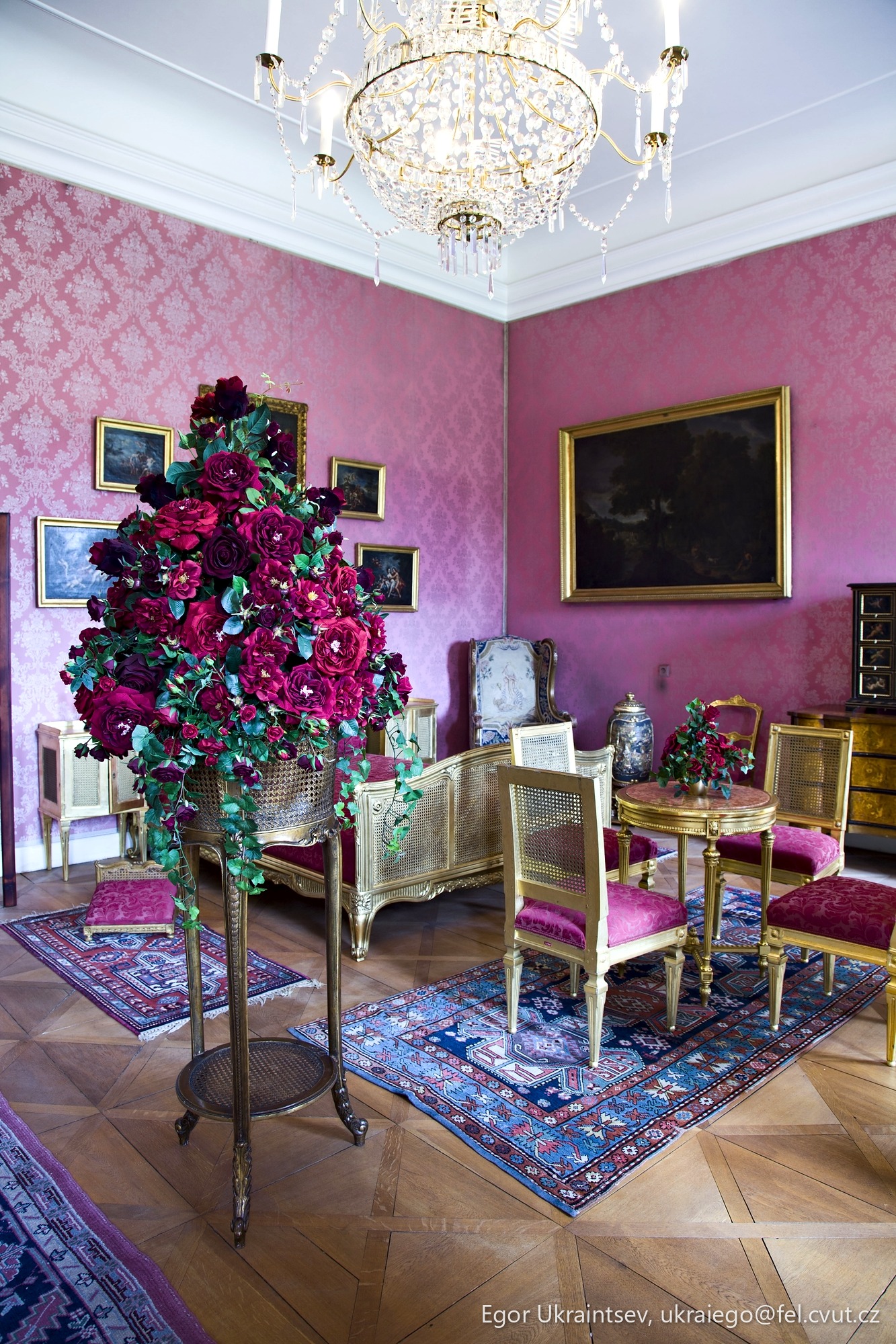 Living room with pink walls