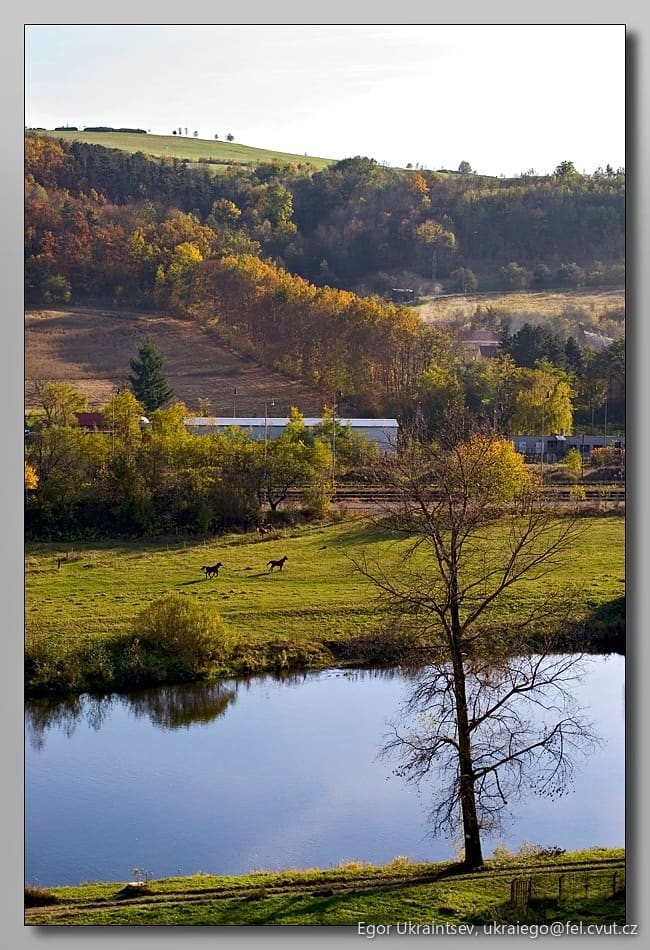 Pond in a rural setting