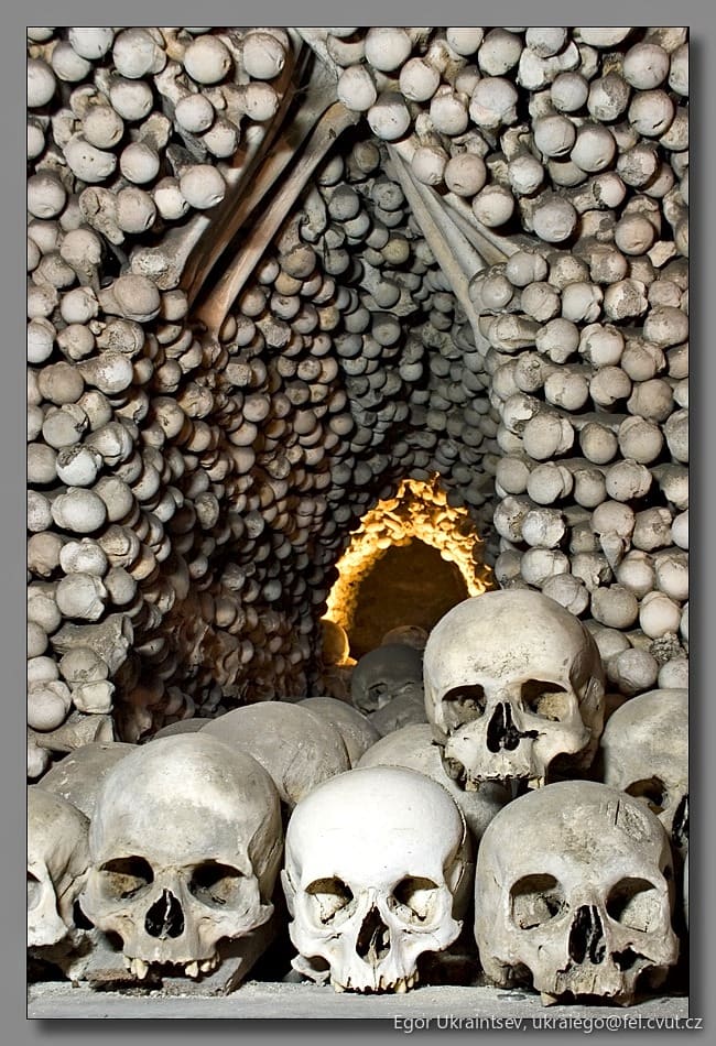 Skulls and bones