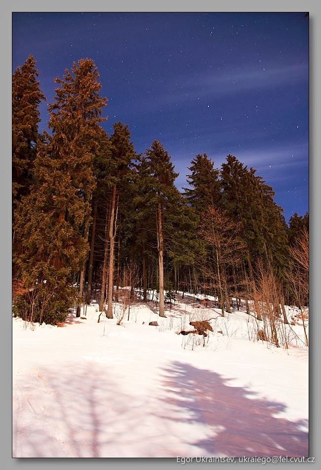 Night sky over a snowy